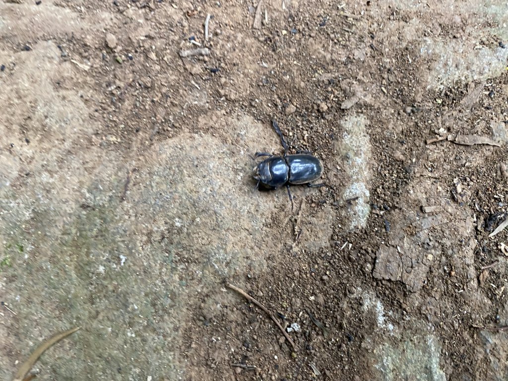 2021.09.11台北大縱走第一段_1488553