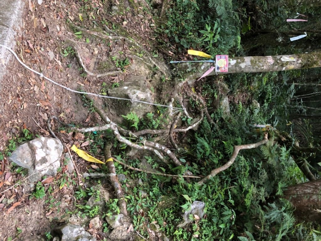 復興尖山_1485500