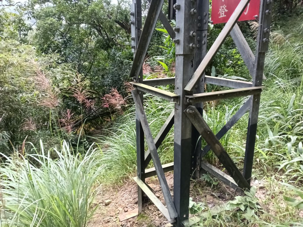 雙溪區東內平林山+上平林山+平林山去回_2952549