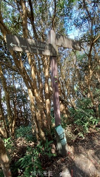 【南投魚池】中部四大名山之山高路遠。 水社大山登山步道_2037952