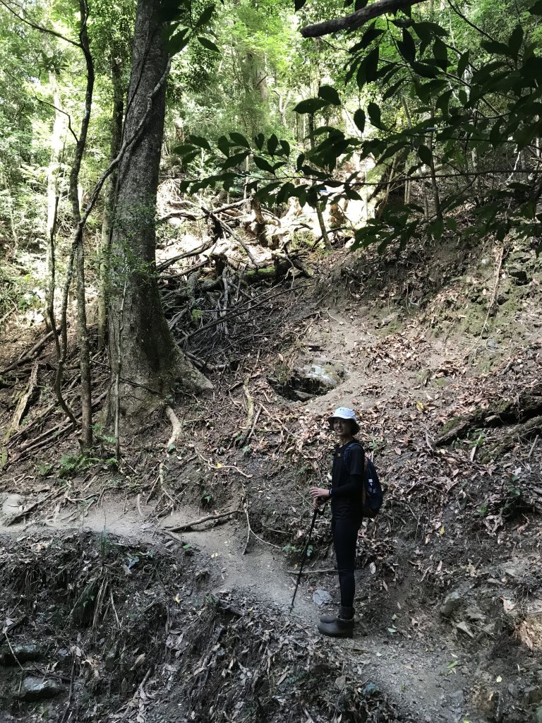 登山野營兩相宜~高島縱走_1488882