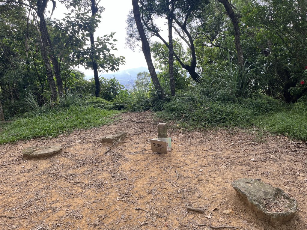 2024_0804 文間山_2566396