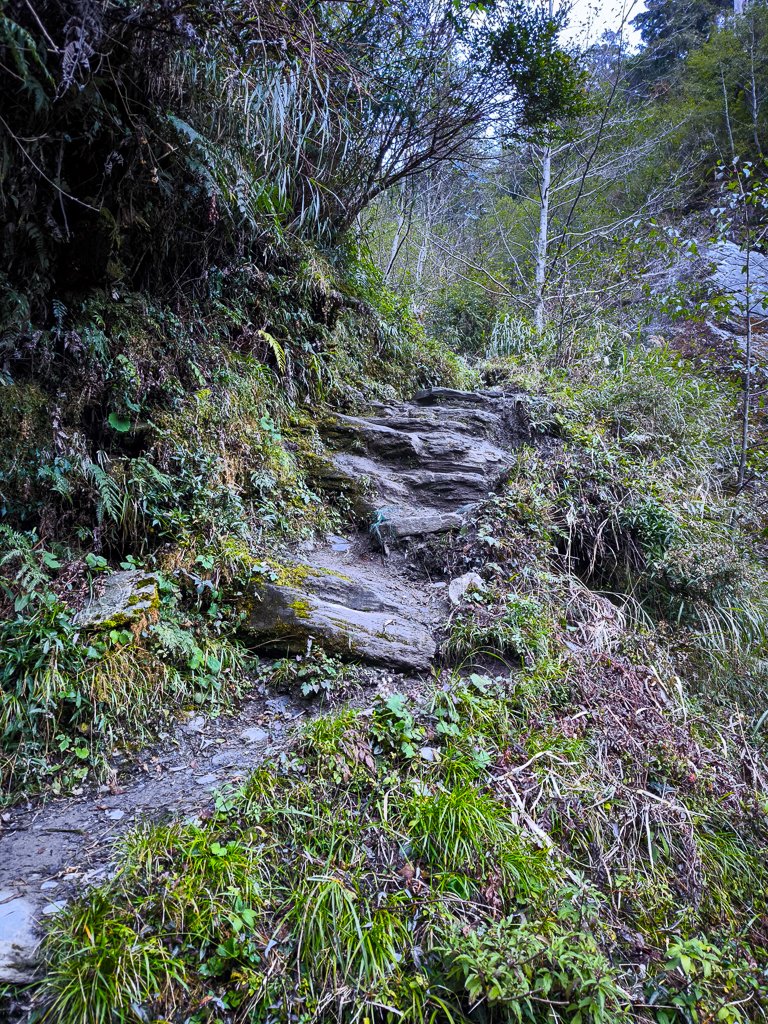 2026-02-09 庫哈諾辛山_2998829