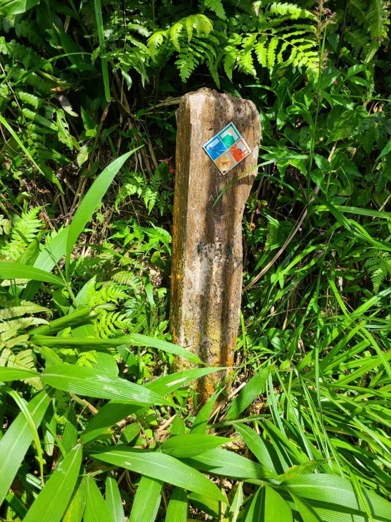 桶後越嶺古道怎麼那麼優秀_1073013