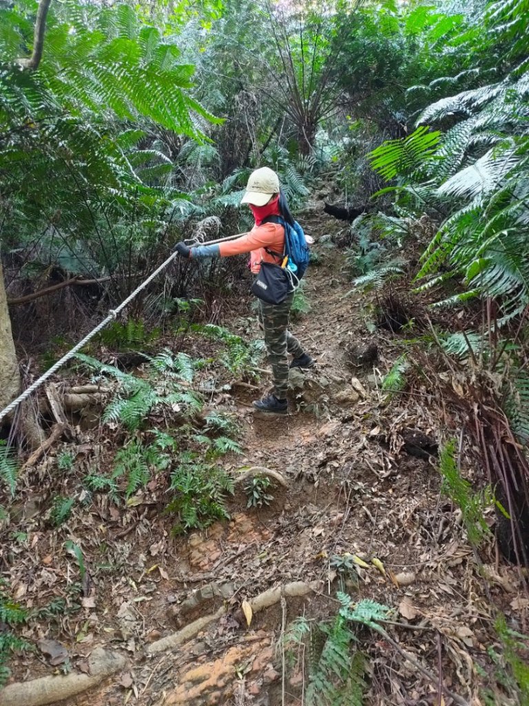 灣潭山和美山O型小走走_1279317