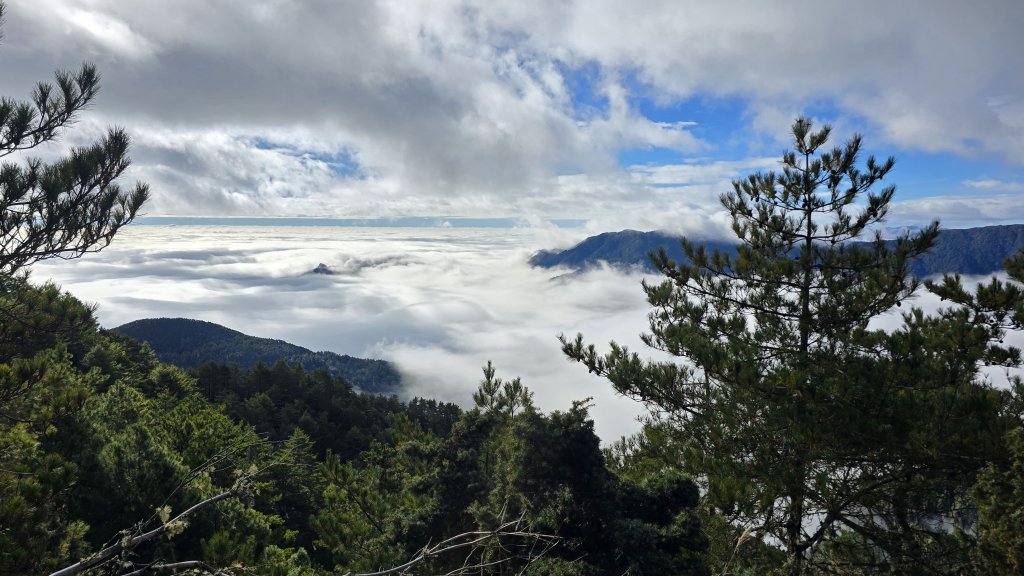 20251211-1216 新康橫斷+嘉明湖_2965439