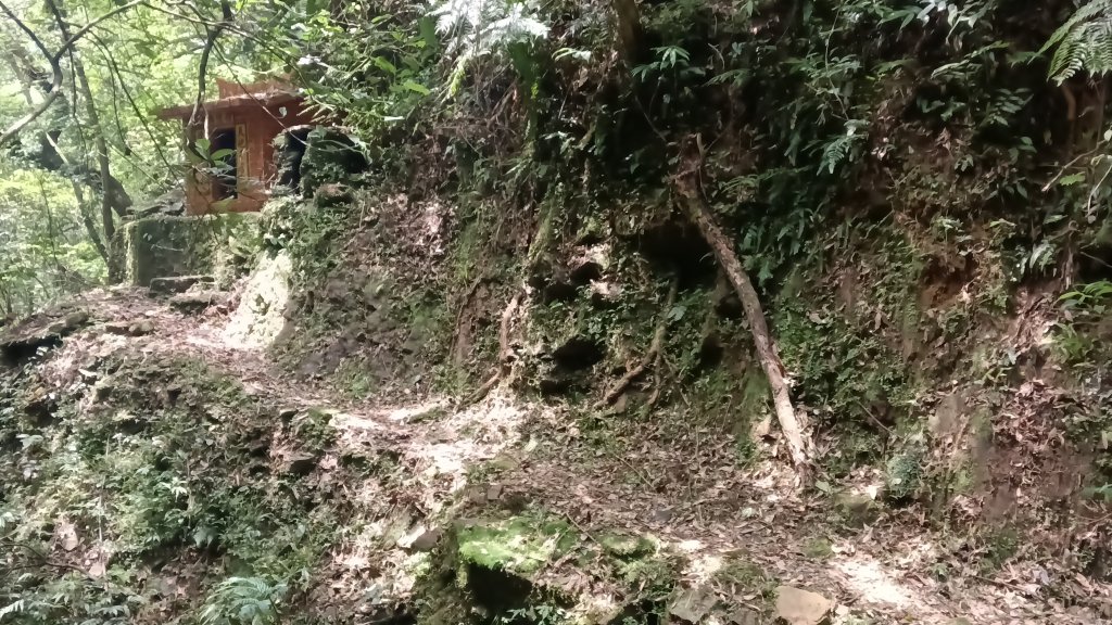 雙溪區烏山越嶺古道西段封面圖