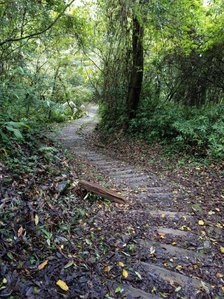 特富野古道_376576