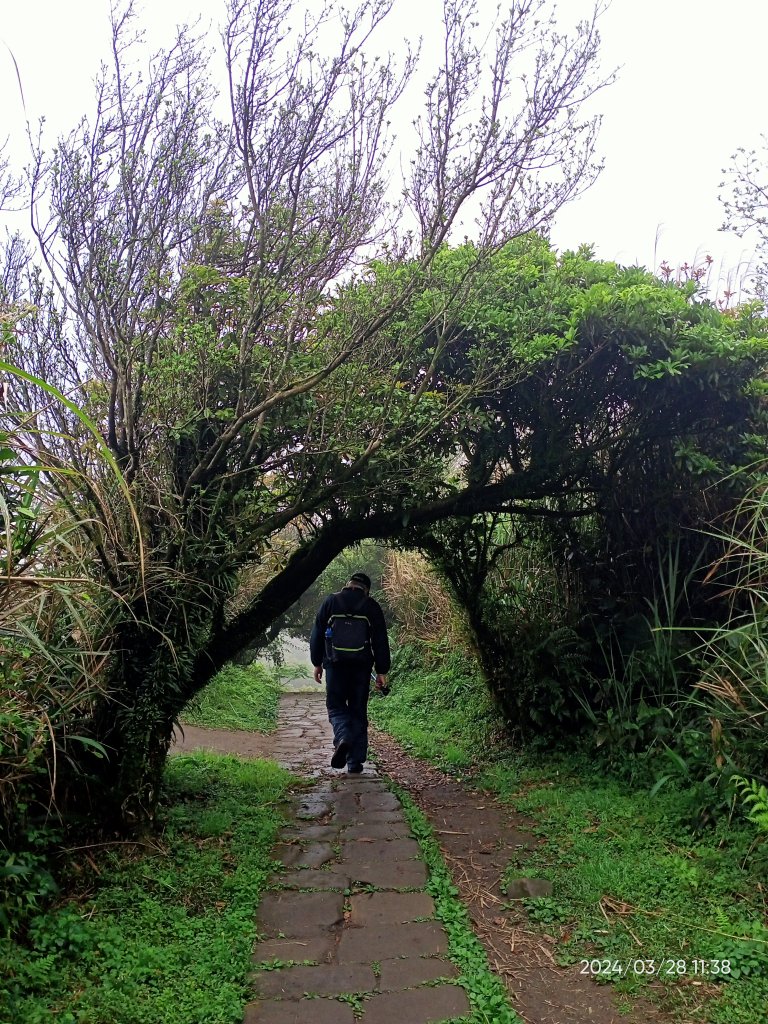 【臺北大縱走 3】擎天崗→石梯嶺→頂山→風櫃嘴_2468795