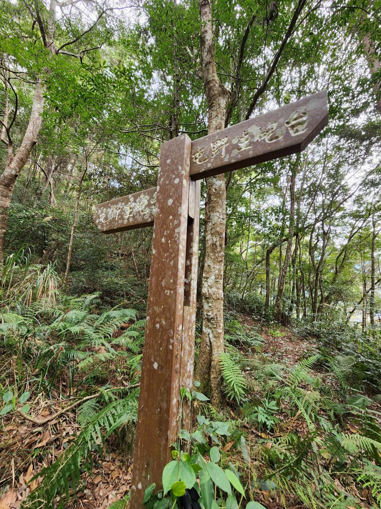 112/2/11芝生毛台山、屯野生炮台_2148018