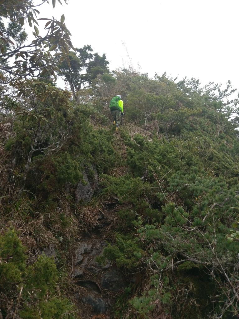 清水大山_306109