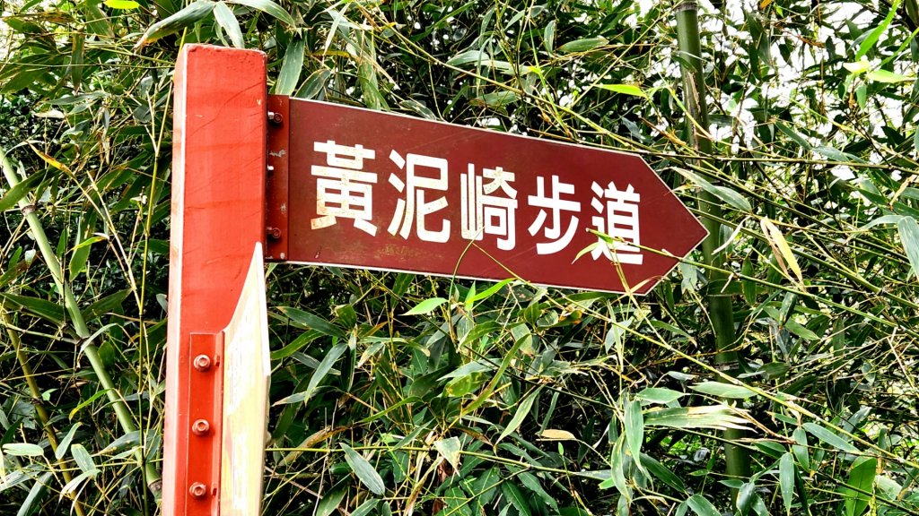 老銃櫃步道，三聯埤落羽松步道，金門觀止及翟山步道，台中知高圳步道_1983716