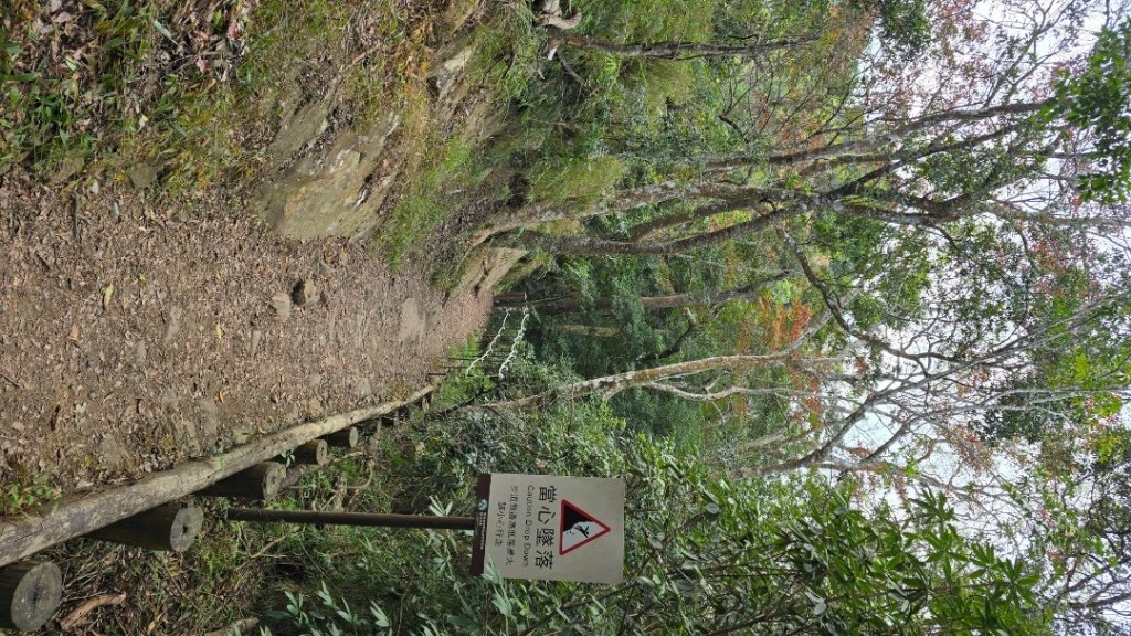馬那邦山之雲海／雲瀑／楓紅／太陽琉璃光_2668253