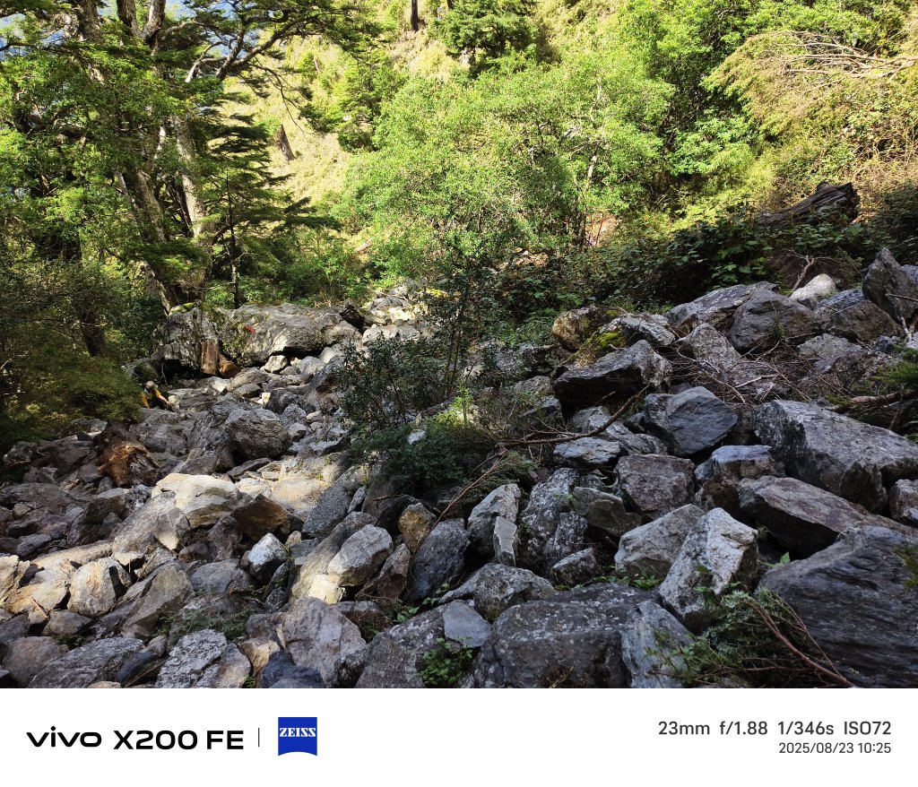 [玉山尋寶任務-04/12] 2025_0823 玉山前峰登山山徑_2869552