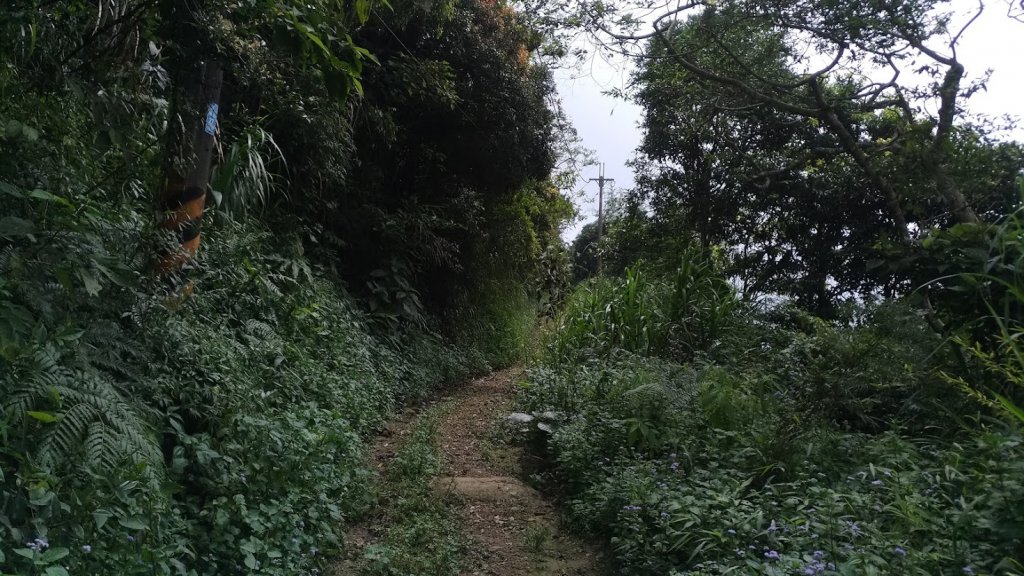 2021 9/9 竹子尖山_1456331