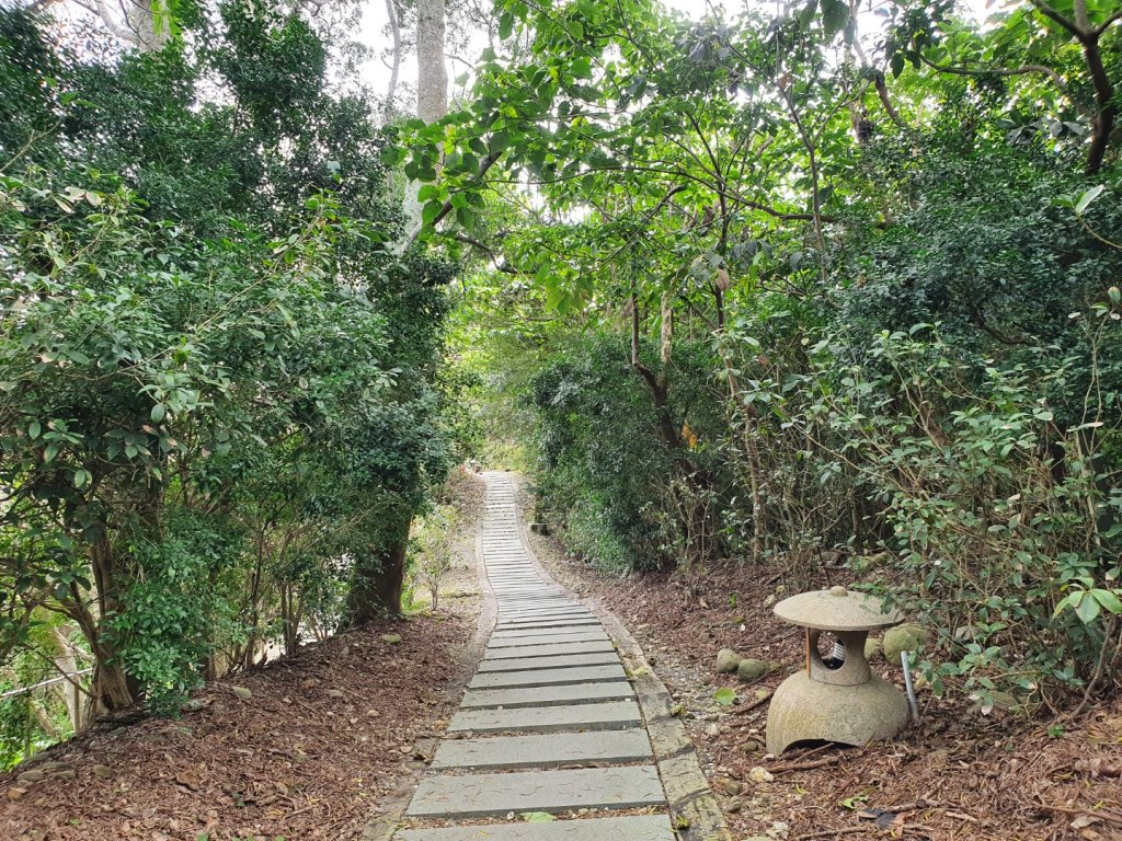 美崙山步道_1268748