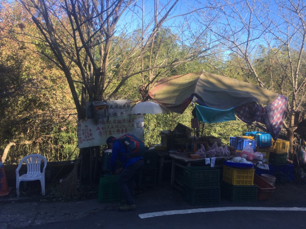馬那邦山楓紅、細道邦山石壁_1963198