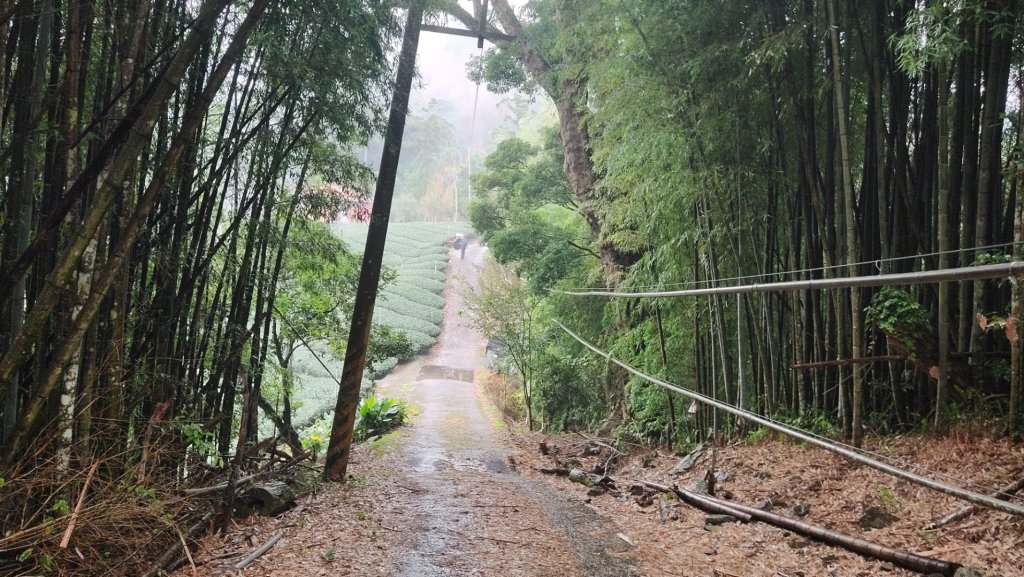嘉義瑞里湖桶底接瑞太古道入口_2556424