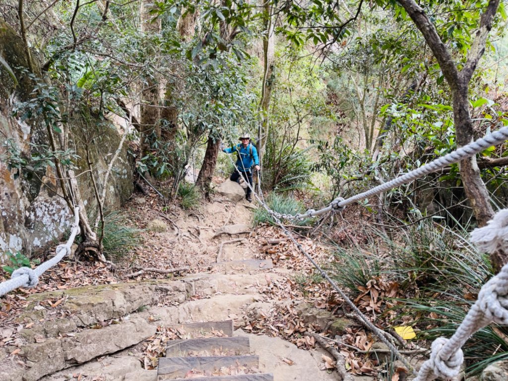 1120226獵鷹尖.一線天｜梅峰-福光山-飯包尖山_2042661