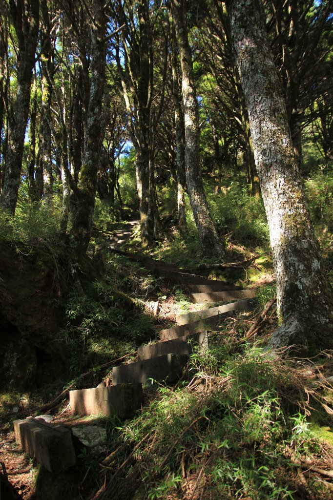 南橫三星之與時間賽跑_1787767