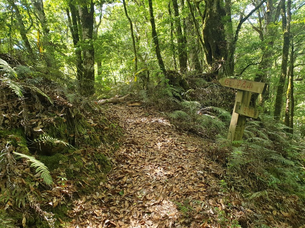 養老山與基那吉山封面圖