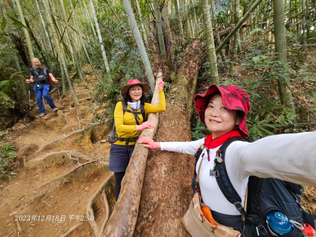 如夢幻般接觸日月潭最高峰水社大山_2386602