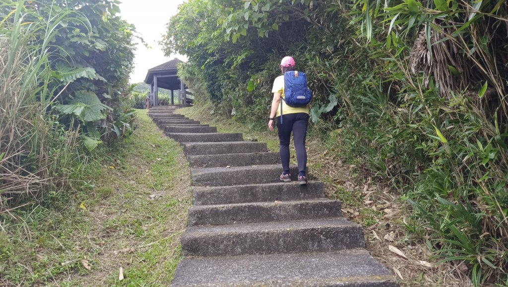 (姨婆趴趴走)第二十八集:新北三貂角燈塔、極東觀景台、極東公園、馬崗漁村_2323055