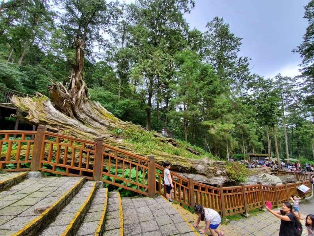 南投溪頭巨木森林遊樂區，妖怪村封面圖