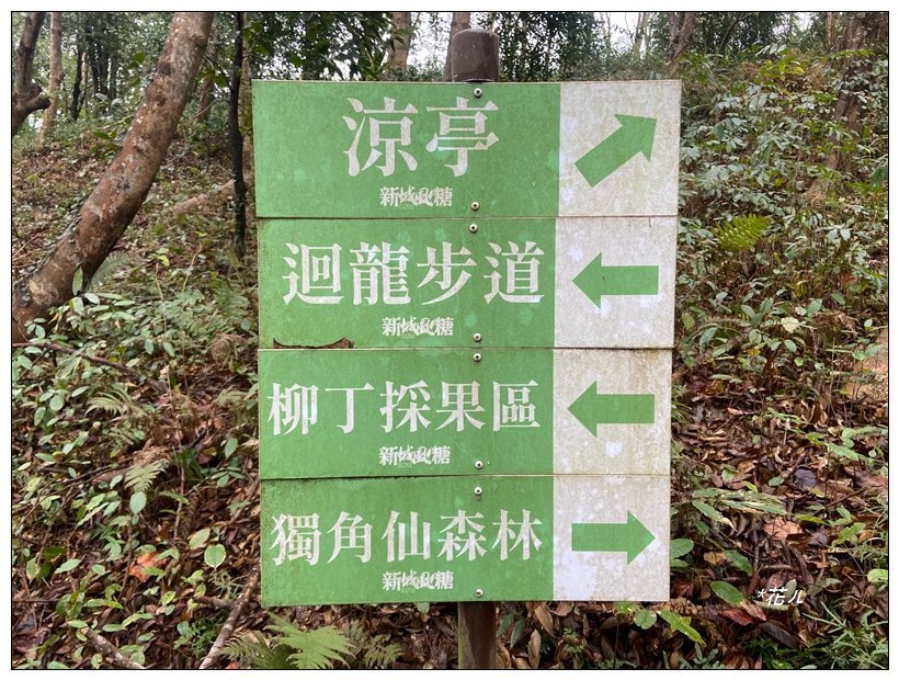 寶山迴龍步道、大統台山_2705040
