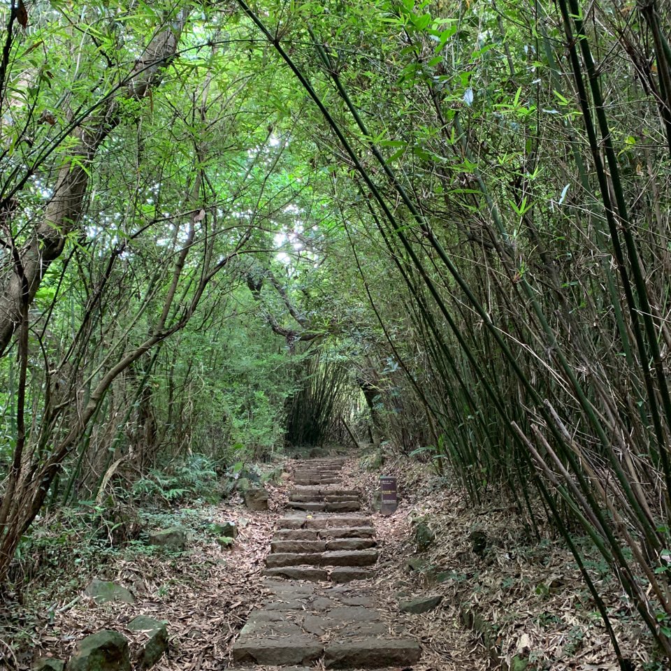 清天宮—面天山—二子坪_1794950