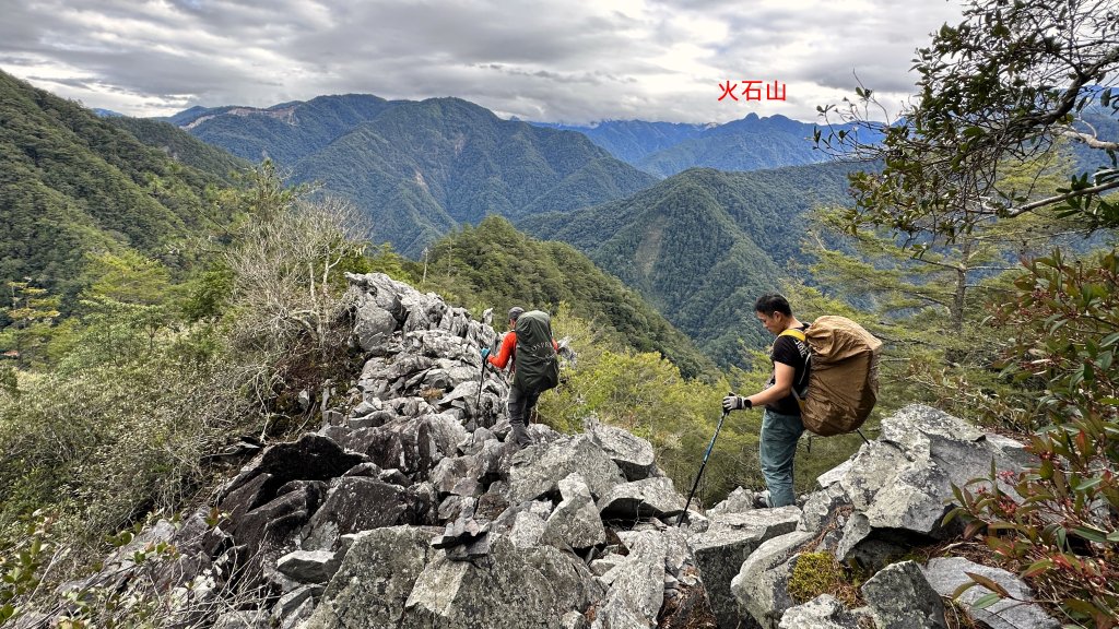 台灣最高如神般存在的大安溪倚天劍巨木探訪_2747951