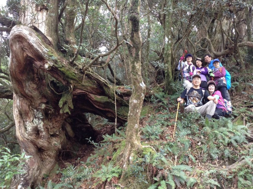 南插天山-待矢負山_291397