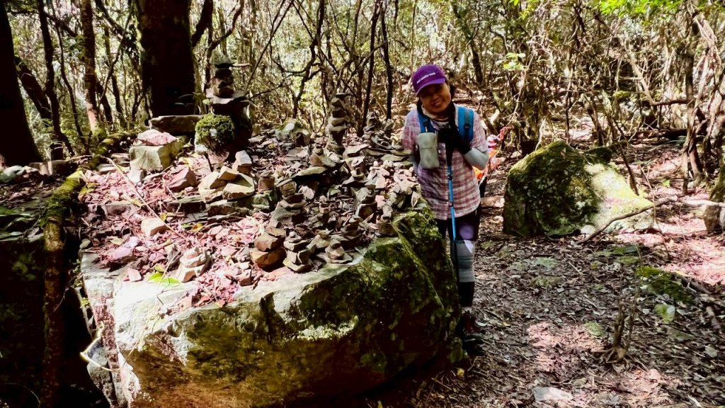 🌈11/9(日)高島縱走~高台山連走島田山山徑✨FB：熊熊趴爬走🌈_2932499