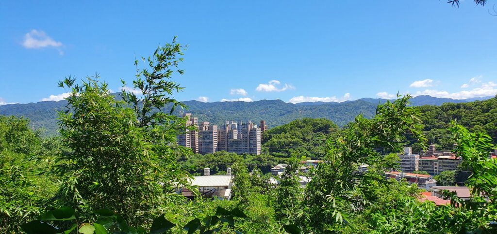 台北大縱走第六段_1452539