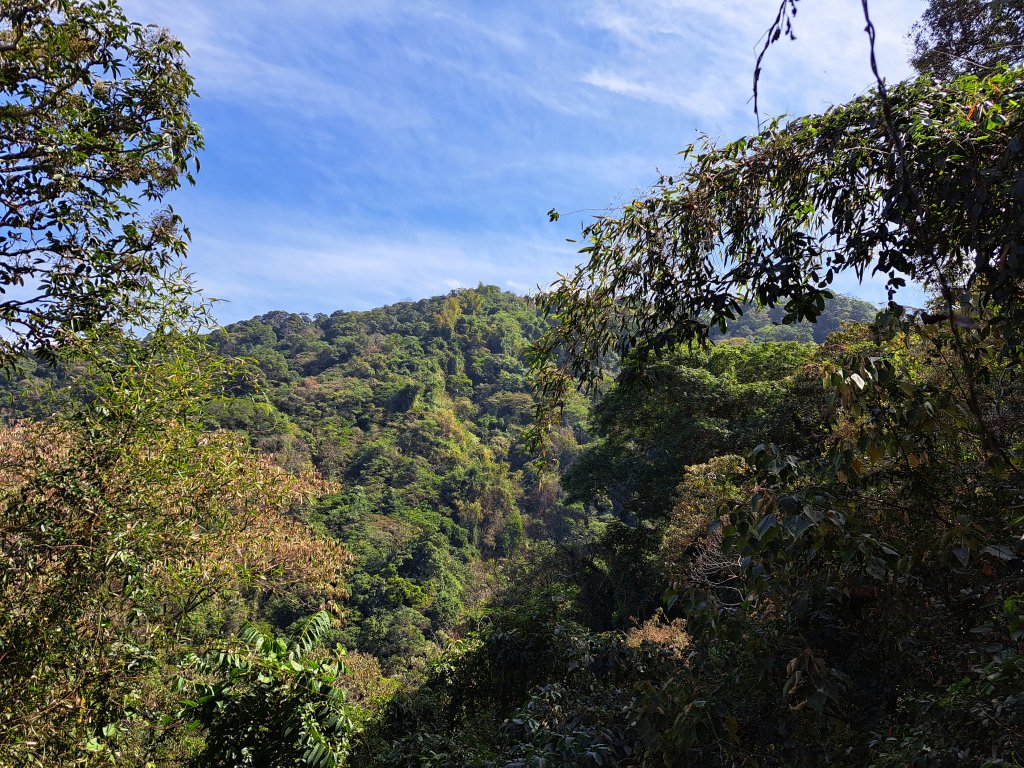 竹山八通關古道社寮段+陳東坑山+溪洲大山ｄ型走20230219_2037429