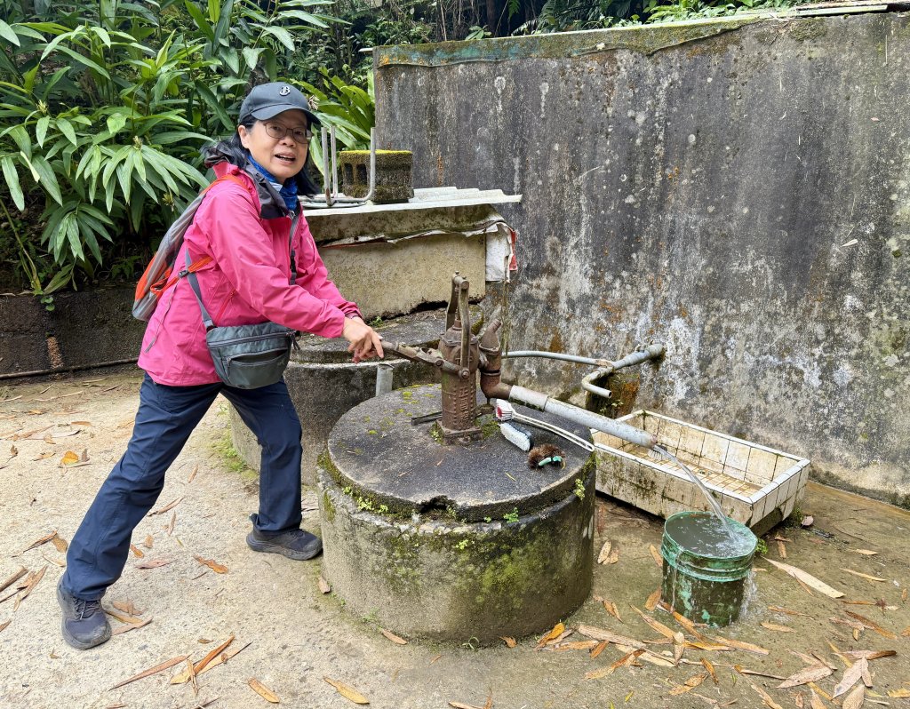 王功坑山藤花_2748127