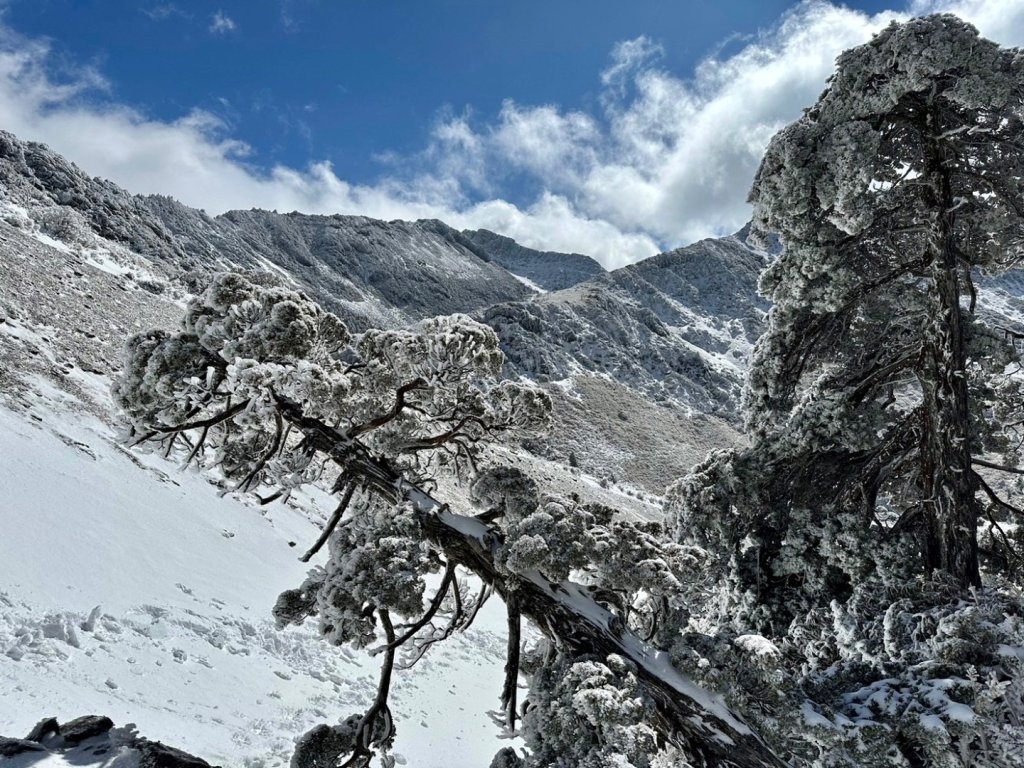 南湖堆雪人_2419501