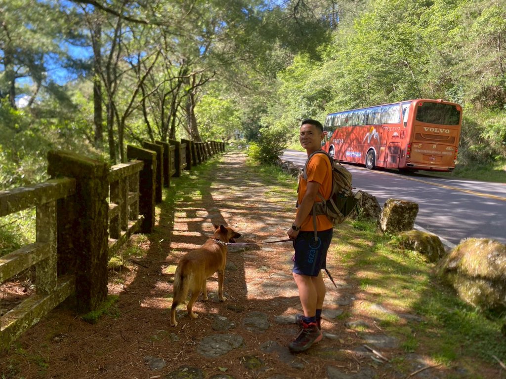 東埔山+東埔大草原步道【這裡的夏天冷颼颼】_2826492
