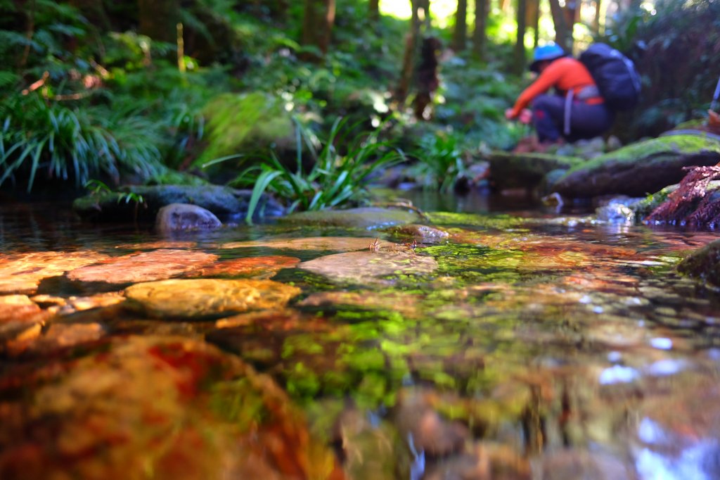 光影森林-那結山縱走貴妃山_773688