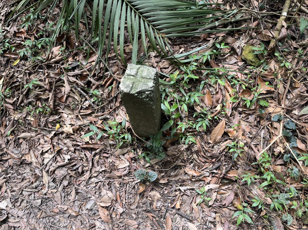 [屏步青雲 尋寶任務-02/10] 2024_0916 尾寮山登山步道_2597373