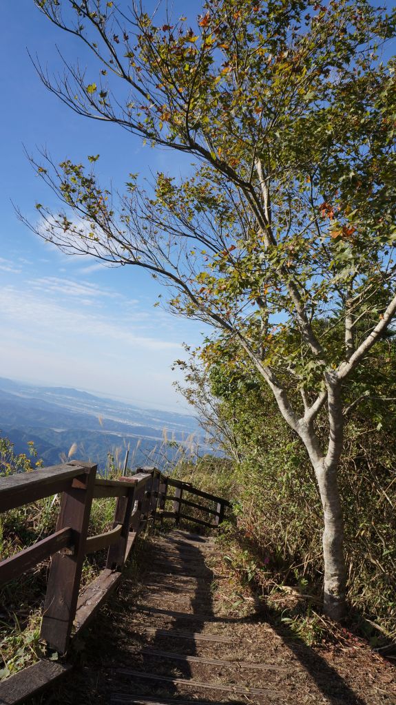 馬那邦山之楓_222189