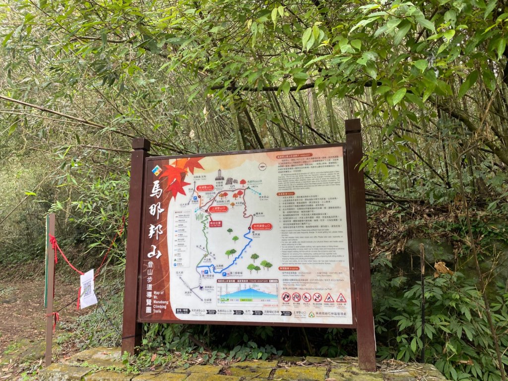 037苗栗泰安-馬那邦山_2604685