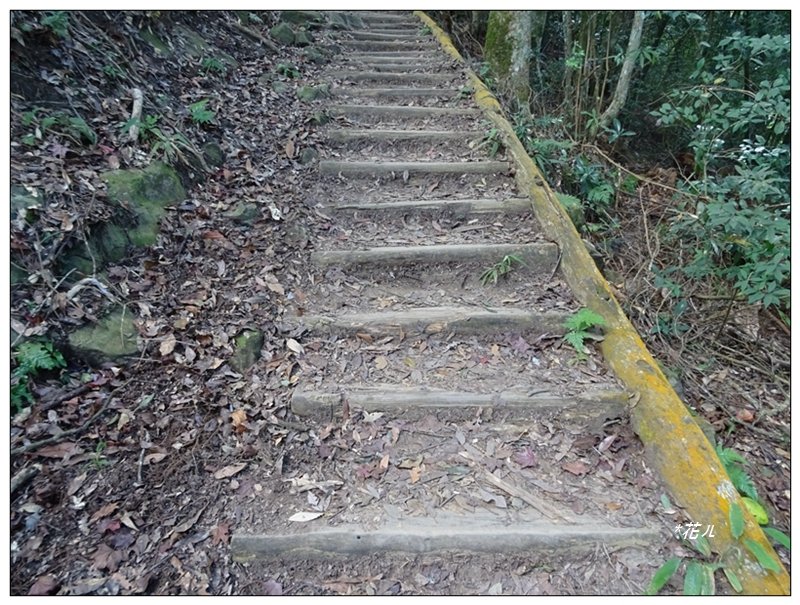 馬那邦山(小百岳)/上湖登山口_2427049