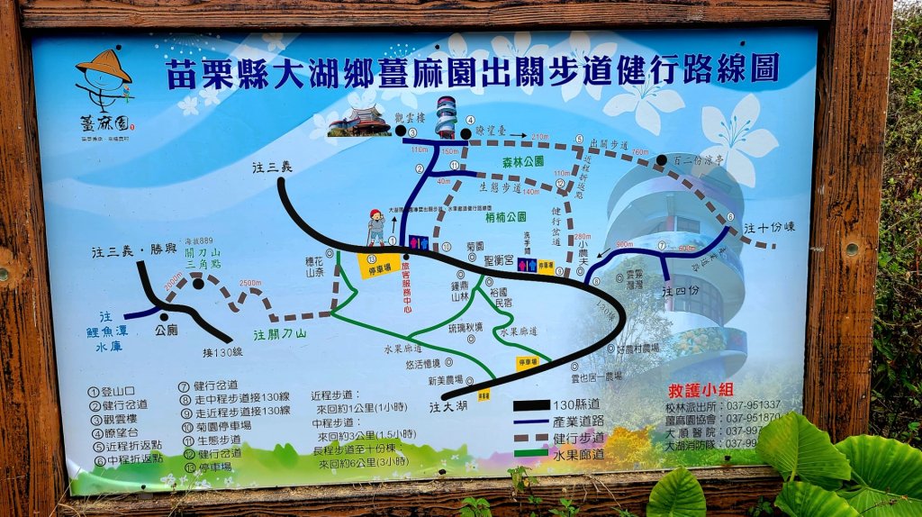 小百岳關刀山889m+銅鑼杭菊_1924047