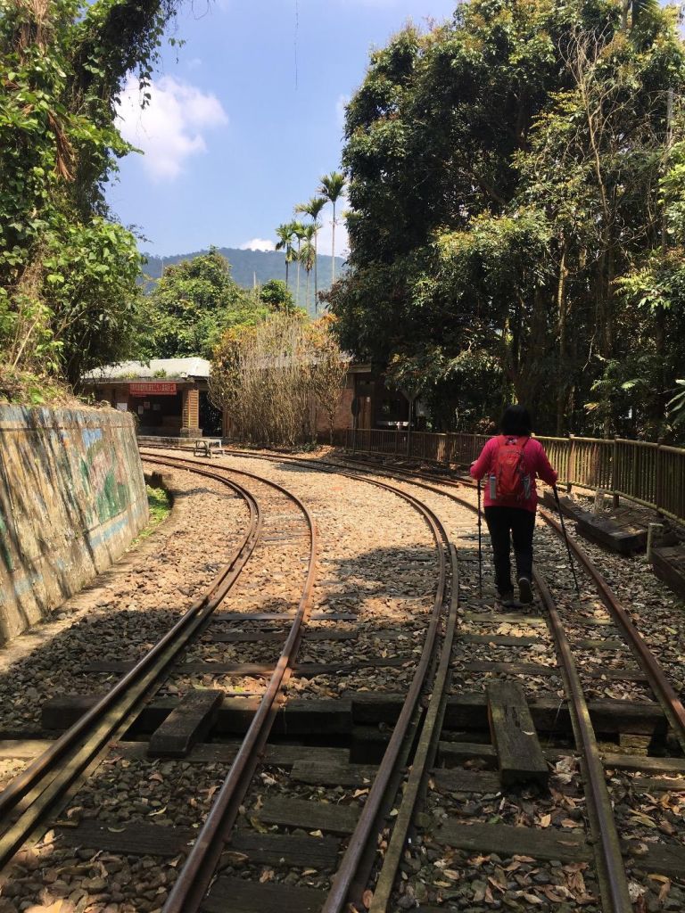 獨立山-大籠頂步道_284913