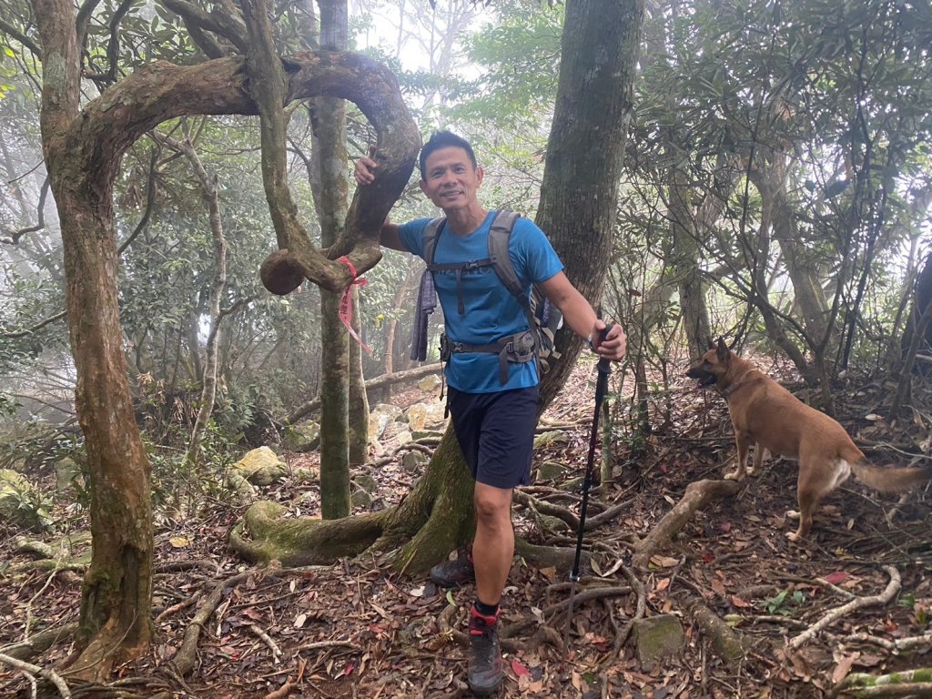 阿冷山【好酒沉甕底的隱藏版魔王】_2649269