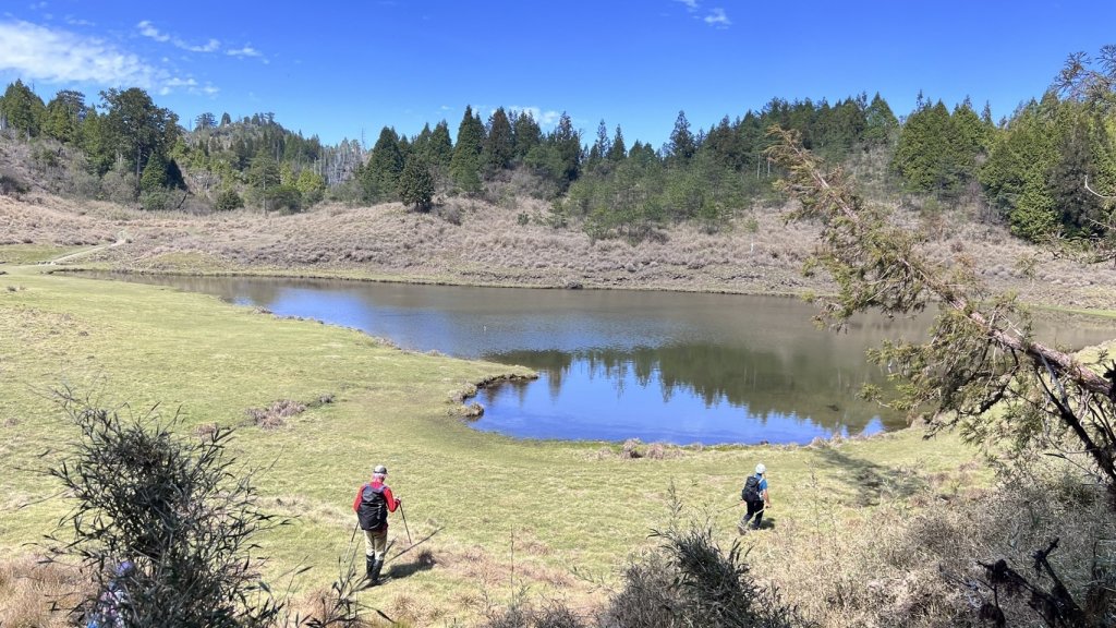 大同加羅湖穆魯洛亞滬庫霞四季警備道_2748281