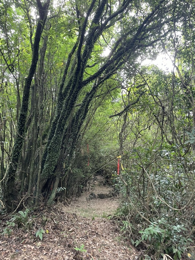 石笋古道O型_2553813