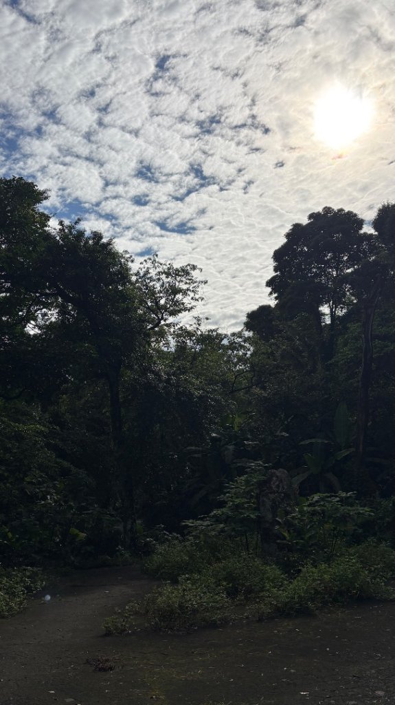 散步封面圖