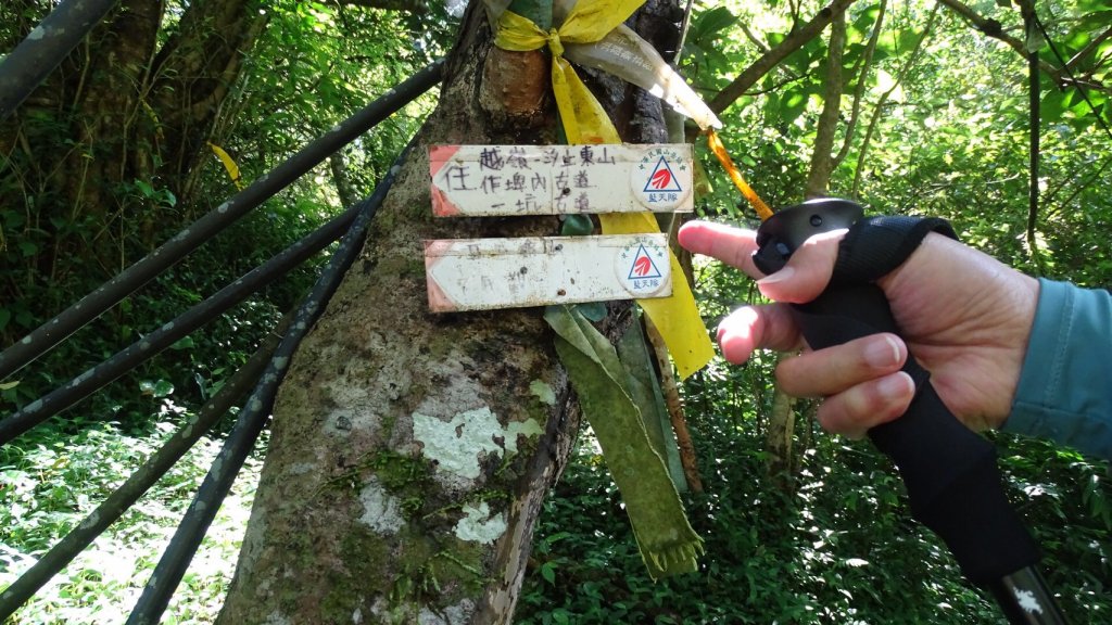瓏美麗一週一步道（平汐通嶺步道）_566866